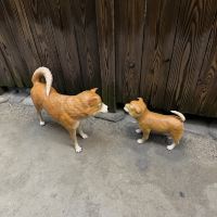 評論圖片 3