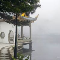 評論圖片 4