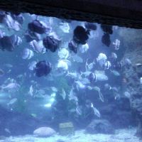 評論圖片 7