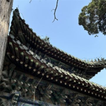 評論圖片 8