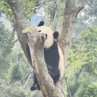 評論圖片 1