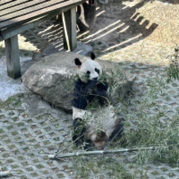評論圖片 5