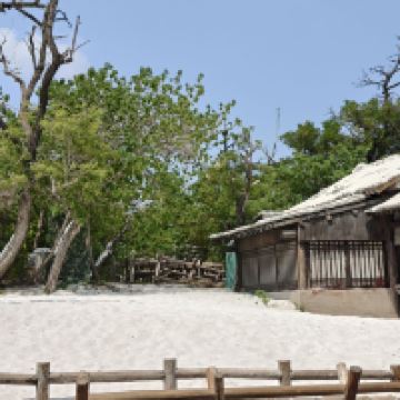 評論圖片 6