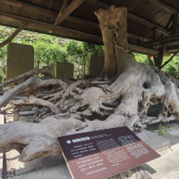 評論圖片 2