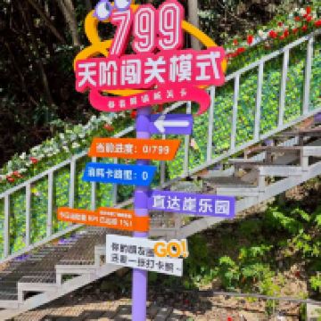 評論圖片 8