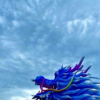 評論圖片 7
