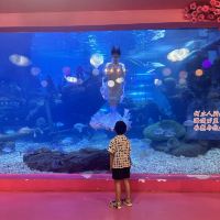 評論圖片 7