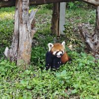 評論圖片 3