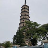 評論圖片 2