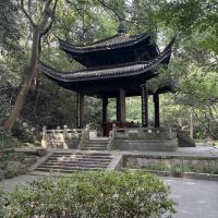 評論圖片 9