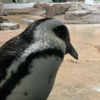 評論圖片 2