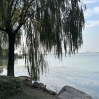 評論圖片 3