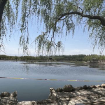 評論圖片 4