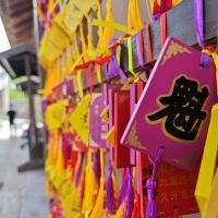 評論圖片 9