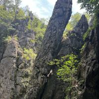 評論圖片 3