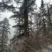評論圖片 7