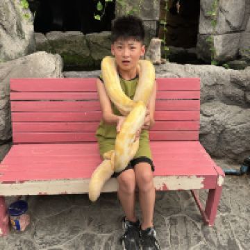 評論圖片 7