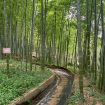 評論圖片 5