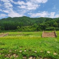 評論圖片 8