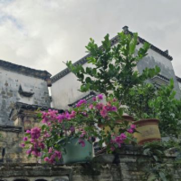 評論圖片 3