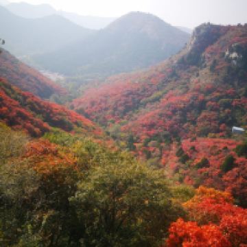 評論圖片 2