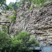 評論圖片 8