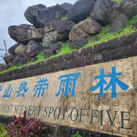 評論圖片 2