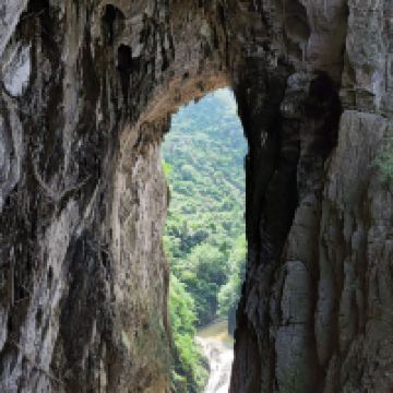評論圖片 2