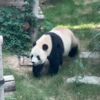 評論圖片 7