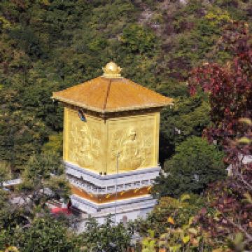 評論圖片 7