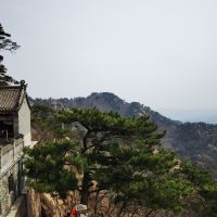 評論圖片 2