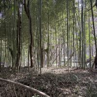 評論圖片 2