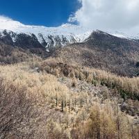 評論圖片 6