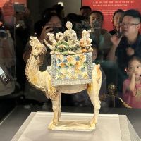評論圖片 5