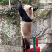 評論圖片 1