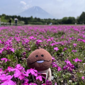 評論圖片 1