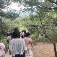 評論圖片 7