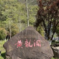 評論圖片 3