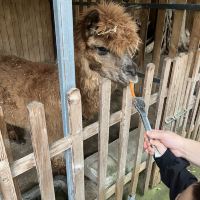 評論圖片 7
