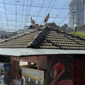 評論圖片 4