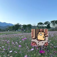 評論圖片 9