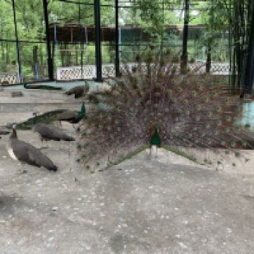 評論圖片 9