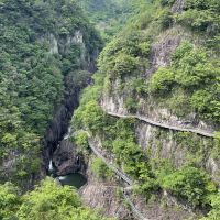 評論圖片 3
