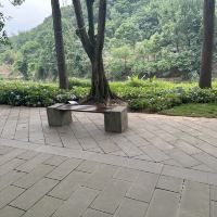評論圖片 2