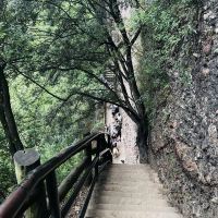 評論圖片 3