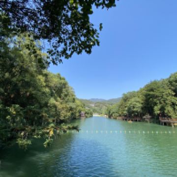 評論圖片 5