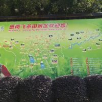 評論圖片 5