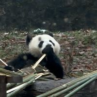 評論圖片 4