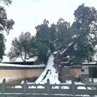 評論圖片 5