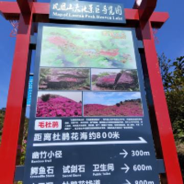 評論圖片 2